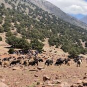 Berber Villages Trek — 6 Days