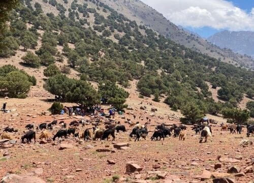 Berber Villages Trek — 6 Days