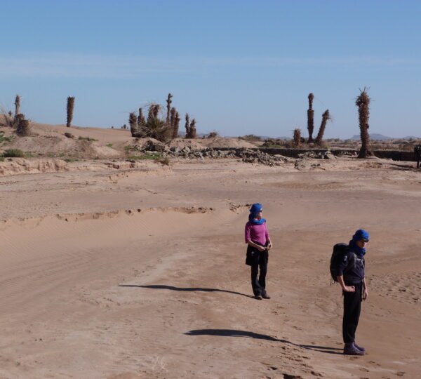 Sahara Desert Trek - atlas trek guide