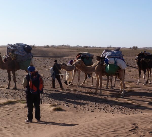 Sahara Desert Trek - atlas trek guide
