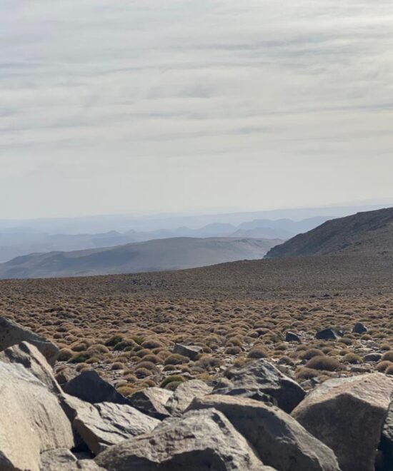 Atlas Trek Guide Atlas trek guide