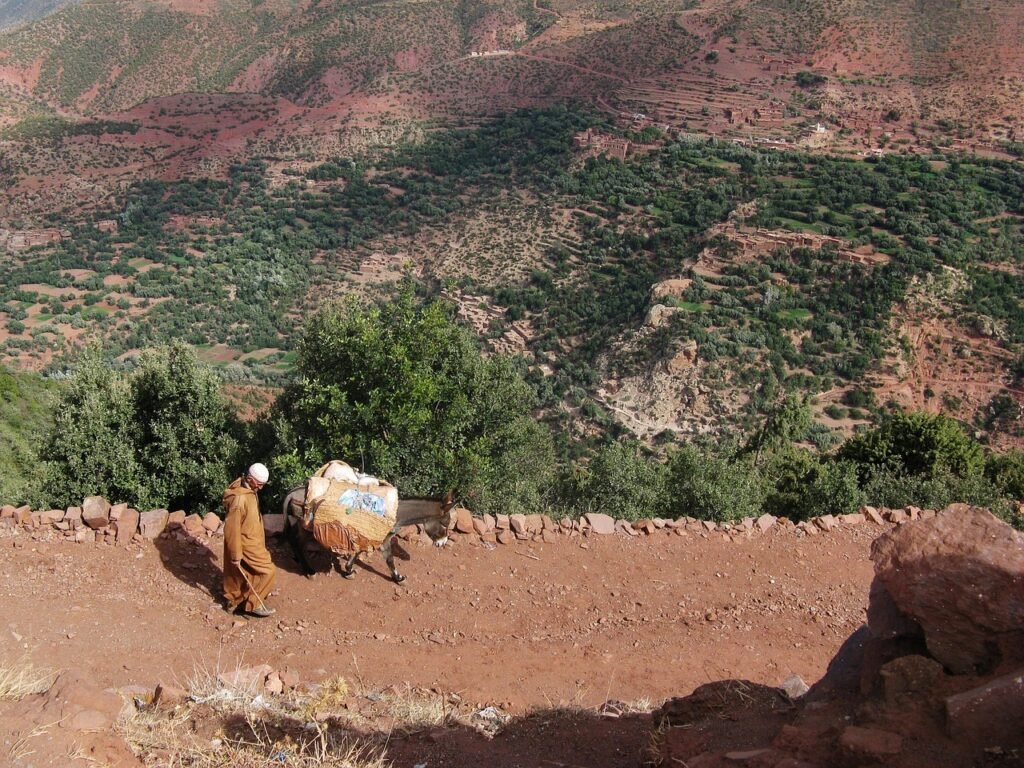 Hiking Tips for Berber Villages in Morocco