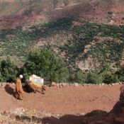 Berber Villages Trek – 3 Days