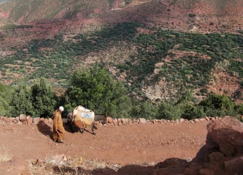 Berber Villages Trek – 3 Days