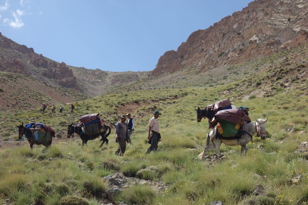 Trekking and Hiking in Morocco